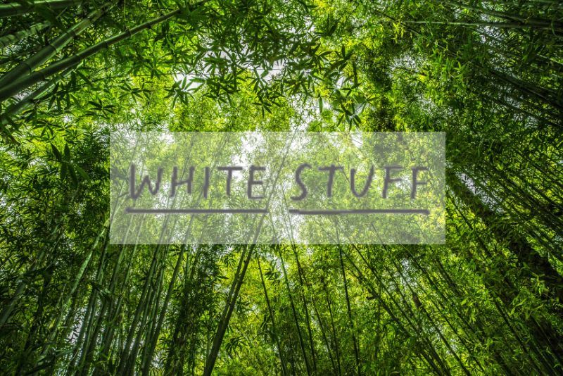 How does White Stuff Clothing practice and promote sustainability?